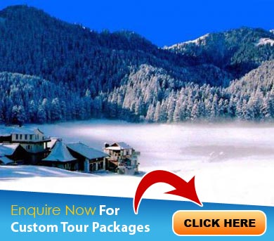 Chakrata Tour Packages